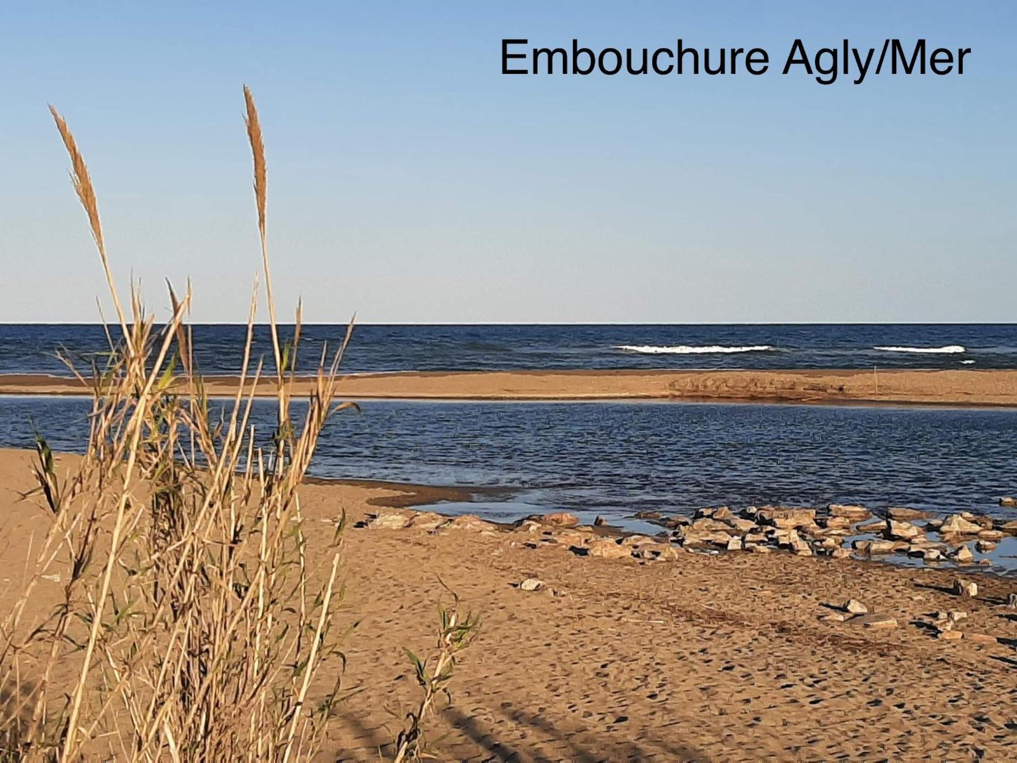 Logement Entier, Calme, Hyper Equipe Сен-Лоран-де-ла-Саланк Екстер'єр фото